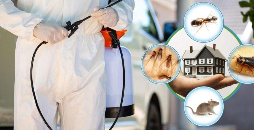 Silifke Böcek İlaçlama