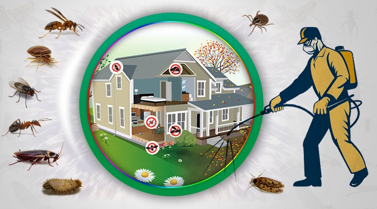 Silifke Böcek İlaçlama