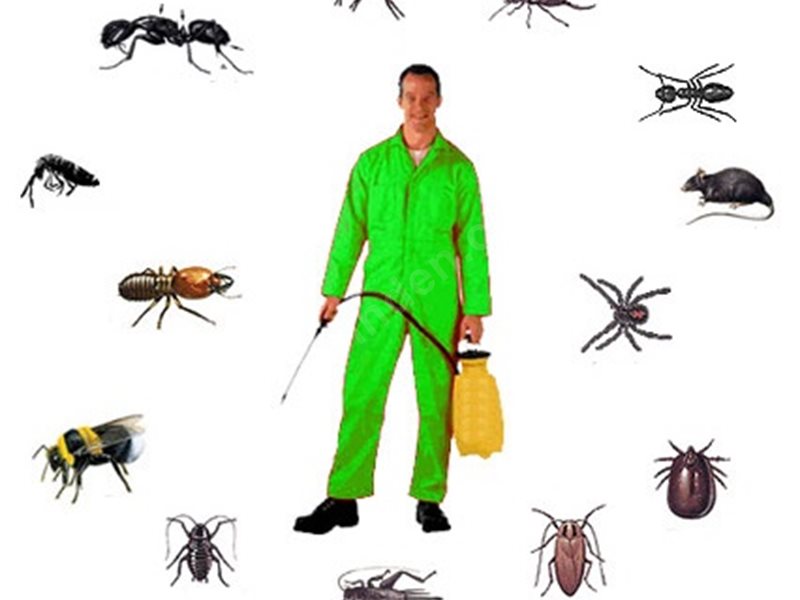 Silifke Böcek İlaçlama